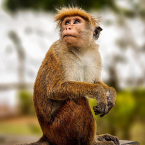 About Us Circle Image